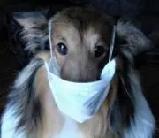 Rocky