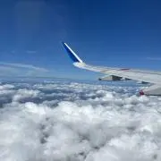 ●たまこ●の画像