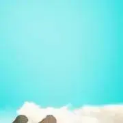 令