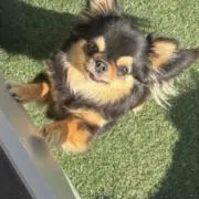BONの画像