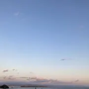Umeの画像