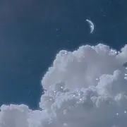 りんご (プロフィール必読)の画像