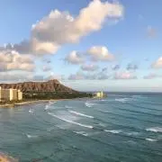 @えだまめの画像