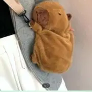 ちゃんみょん2