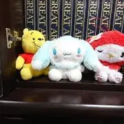 nikopin