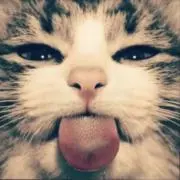 ちろるの画像