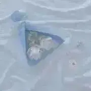 限界医療大生の画像