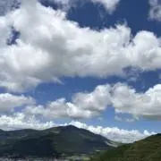 km2(発送は外出時。5日前後)の画像
