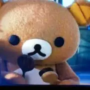 くまの画像