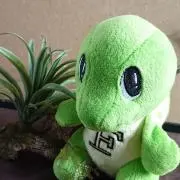 らぷとの画像