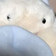 葉月 プロフ必読の画像