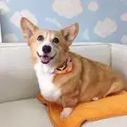 kowan  ☆プロフお読み願います！