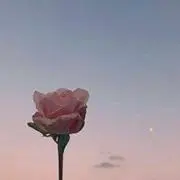 みぃの画像