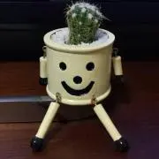 酒盗クリームチーズの画像
