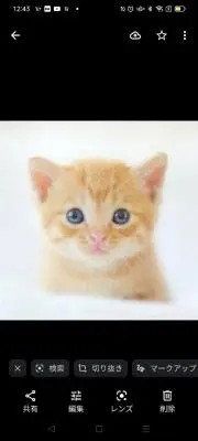 ATASAIの画像