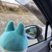 ごんの画像