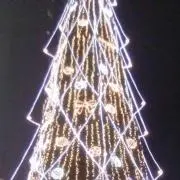 メリーの画像