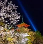Etsunの画像