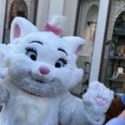 ponの画像