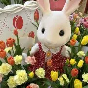 りょう。の画像