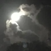 笑って行こう(プロフ必ず読んで下さい)の画像