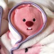 mjuの画像