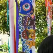 asacaの画像