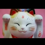 みけぽこりん