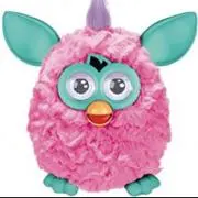 ファビちゃんの画像
