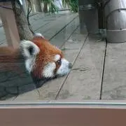 mocomocoの画像