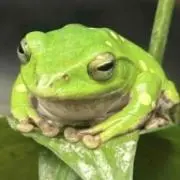 HSママの画像