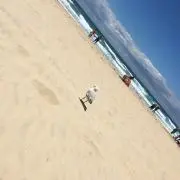 ゆんの画像