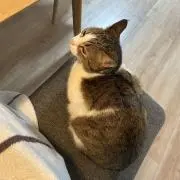 ひーの画像