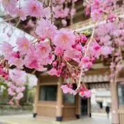 【5/26-5/31発送不可】あーちゃんの画像
