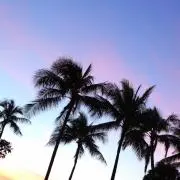 Rの画像