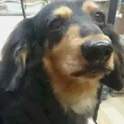 ♡パワーください❗たまこ♡