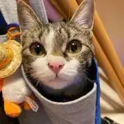 ゆぃ