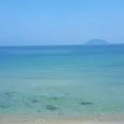 mimi整理中の画像