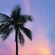 ゆユゆ
