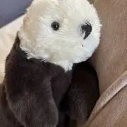 せーな