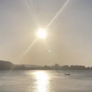 お茶目の画像