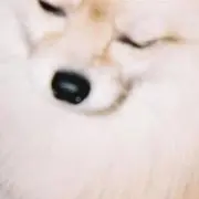 みあ