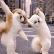 ゆちの画像