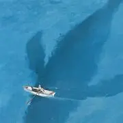 コバルトブルーの画像