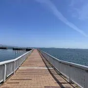 しゅうの画像
