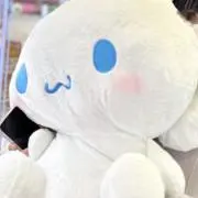 たぬききつねの画像