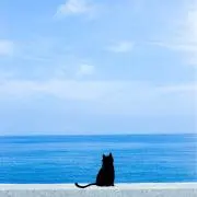 せいちゃん