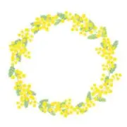 usamoの画像