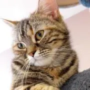 りょー