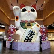 ❇まねき❇の画像
